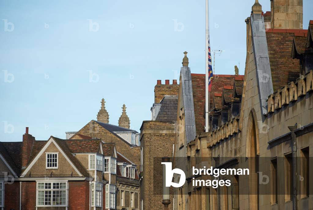 Trumpington Street roofs