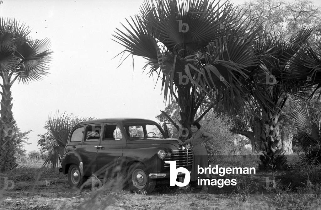 Africa: Prairie Renault van in the bush with palm trees, 1947