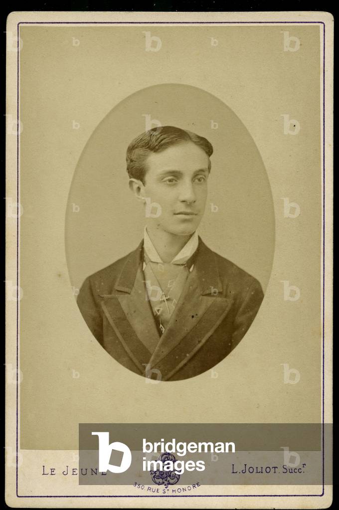 Portrait of King Alfonso XII of Spain (1857-1885), 1875