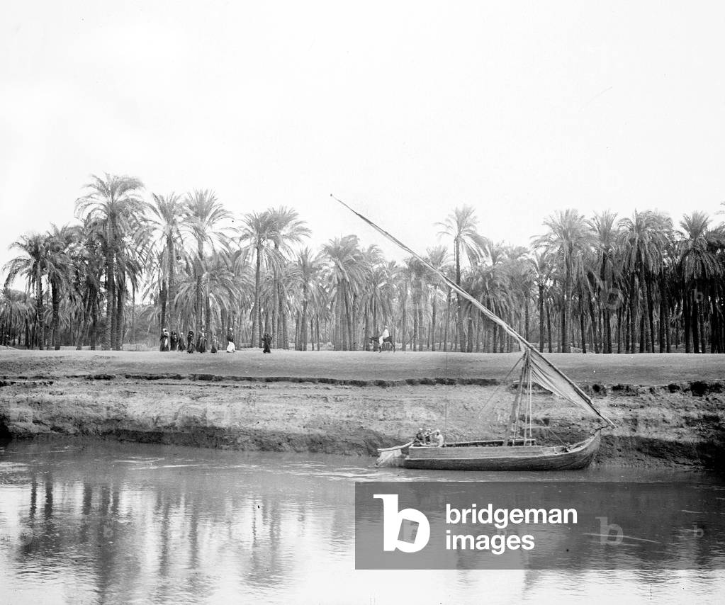 Egypt: Cook cruise, village on the edge of the Nile, view of the bank from the boat with a felouque dock and on the bank, Egyptian peasants along a palm grove, 1900