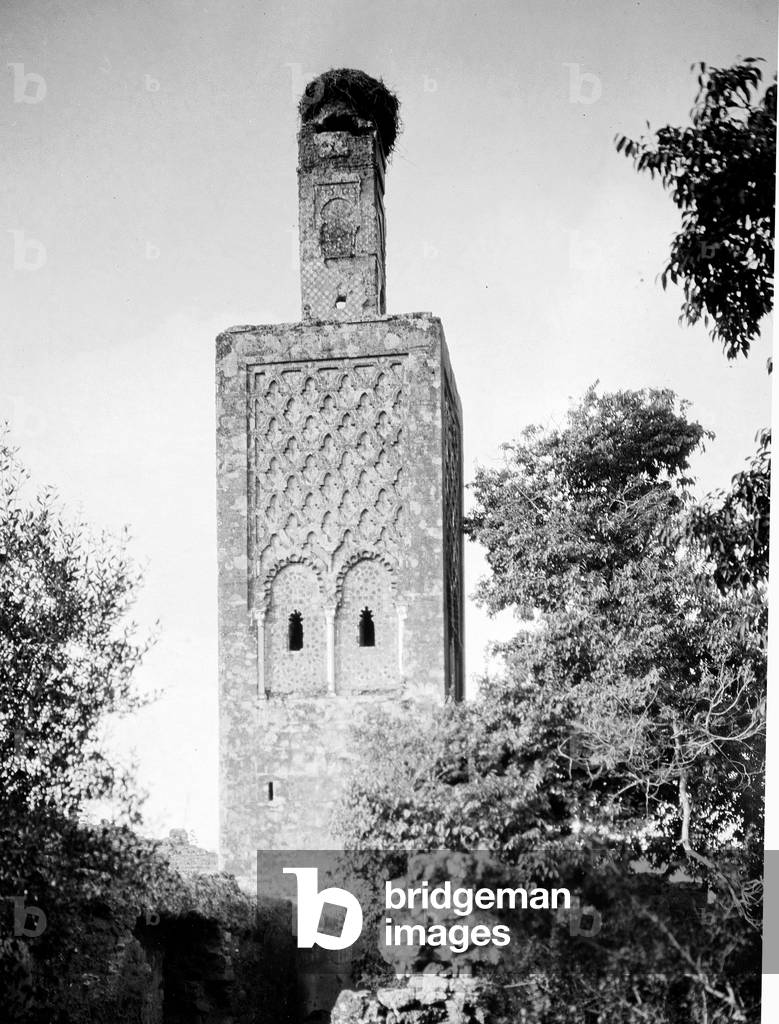 Morocco, Rabat: La Chellah, the mosquee with a gigantic nest of storks, 1900