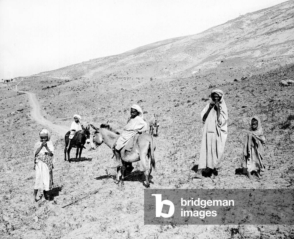 Algeria, Ain zeft: visit of an Algerian family with donkeys, 1904