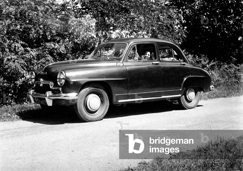 France: Simca Aronde car with a woman driving with her dog, 1960 - car: Simca Aronde