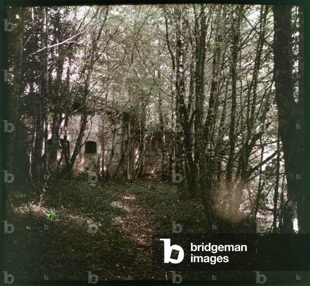 Picturesque Spain: A house in the middle of the woods in the Basque Country, 1933, Basque Country, Spain - Autochrome anonymous