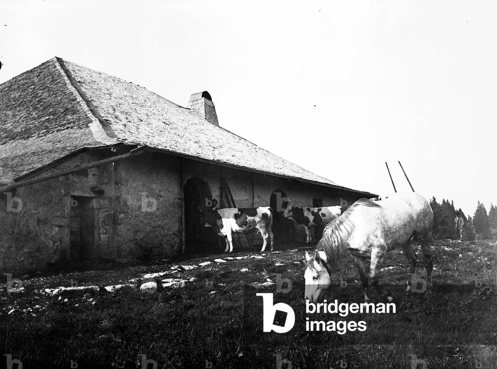 Isere (38): A mountain farm with snow on the roof, 1900