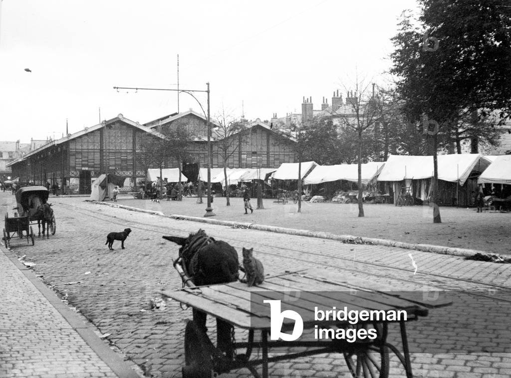 France, Centre, Indre-et-Loire (37), Tours: les halles, place gaston Pailhou, le marche, 1917