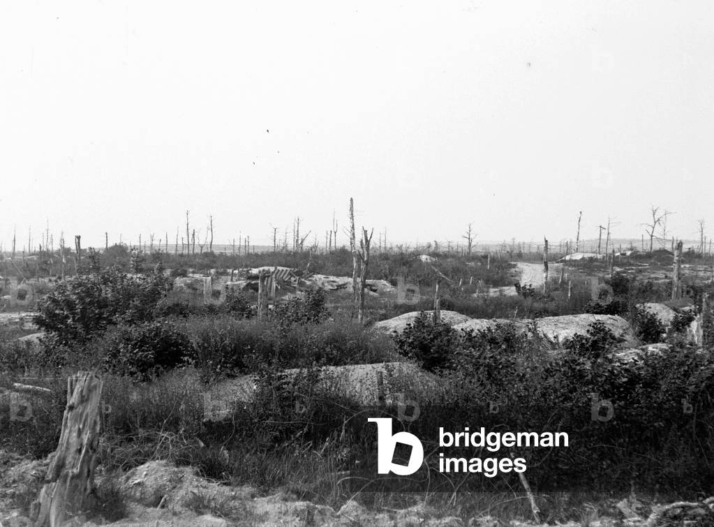 France, Lorraine, Meuse (55), Verdun: the battlefield, 1919