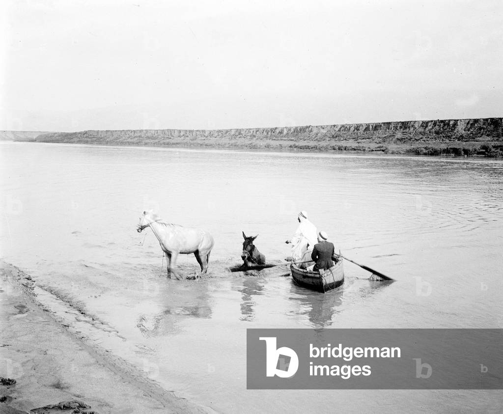 Algeria, Region du Chelif, Chlef: plain of the Chelif, crossed by a donkey and a horse of a wed under the protection of their owners who accompany them in boat, 1904