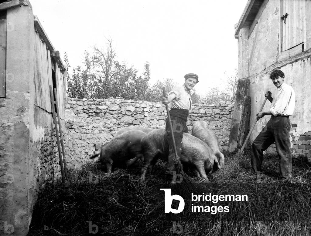 France, Auvergne, Puy-de-Dome (63): porches in a pig trough, 1900