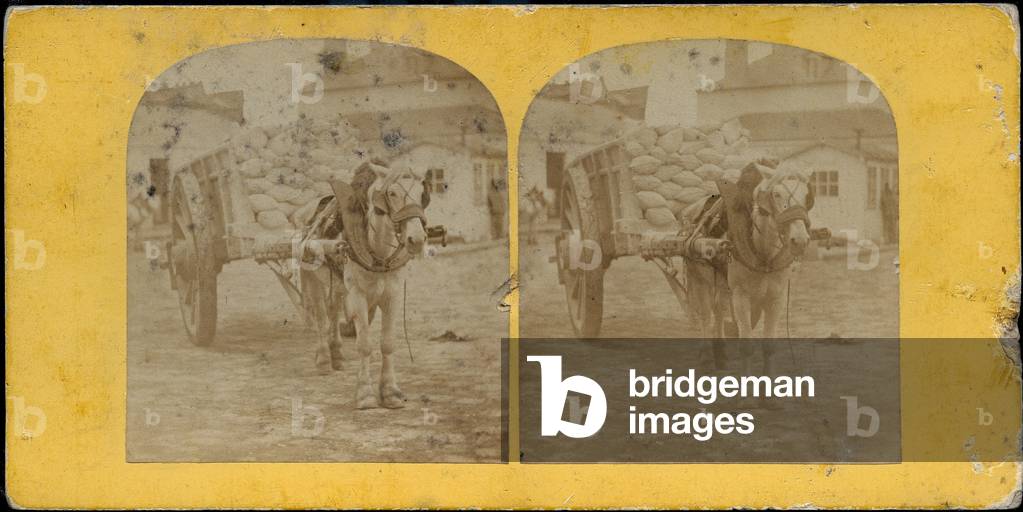 France, Ile-de-France, Paris (75): Hippomobile cart carrying bags of flour, 1855