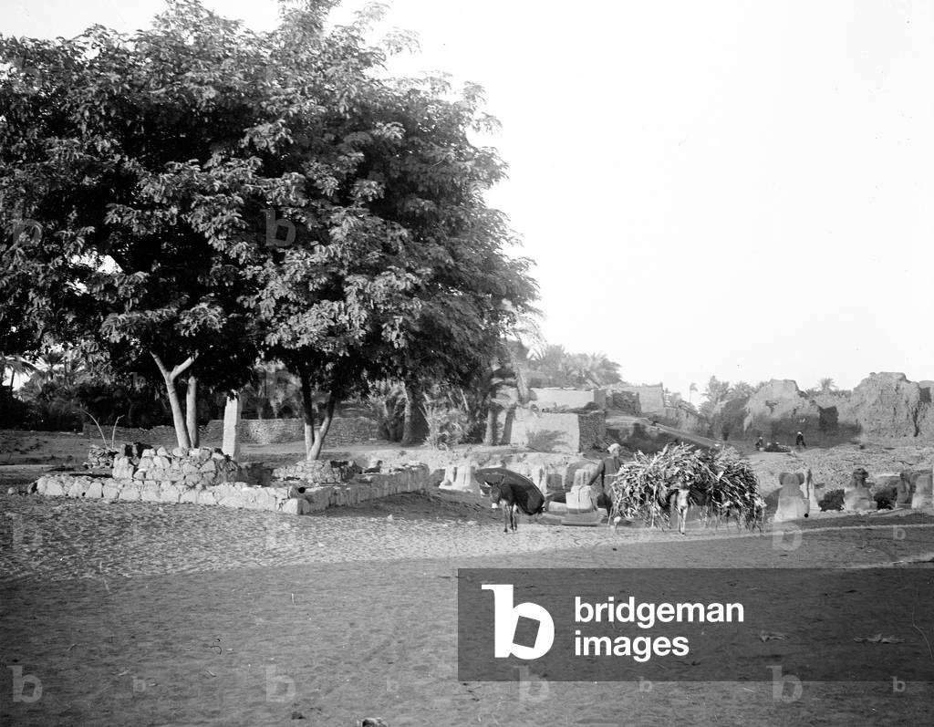 Egypt: Cook cruise, a village on the edge of the Nile, peasants bring the recolt on the back of a mule in a village of land houses, amid ruins and some ancient statues, 1900