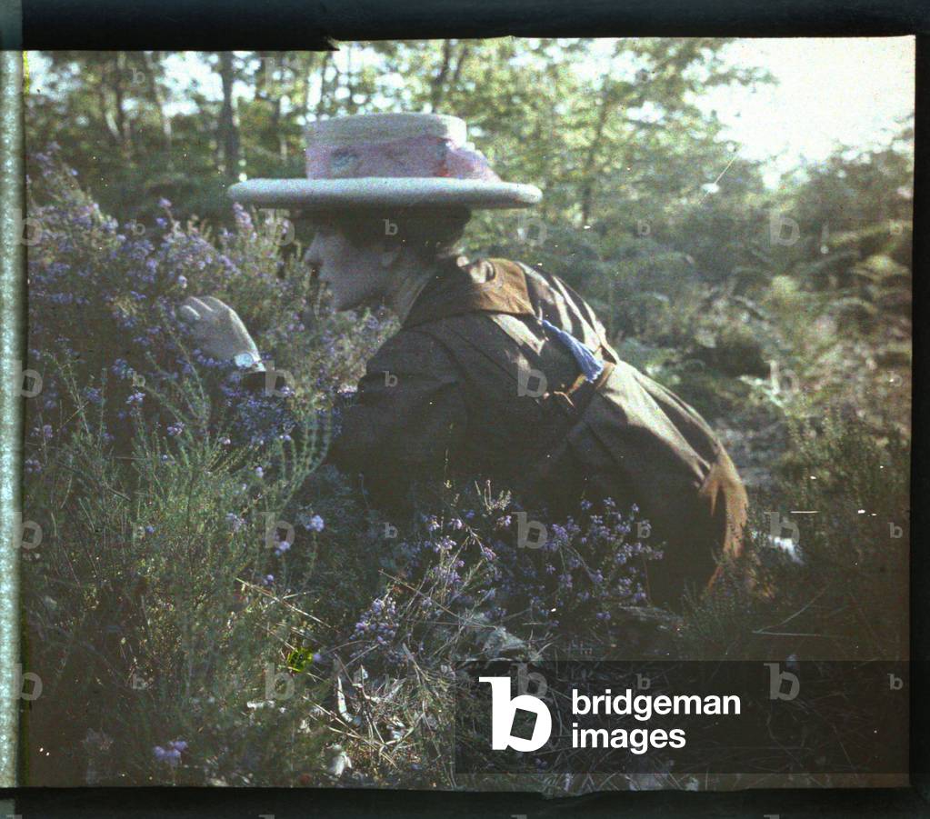 Fashion: Cuisette de bruyeres, 1916, Loches, France - Autochrome anonymous