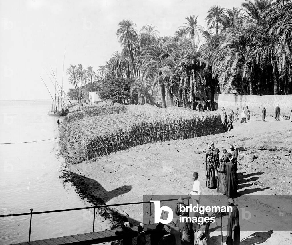 Egypt: Cook cruise, stage of a village on the banks of the Nile, Cook boat on dock. Egyptians go to their daily occupations: armed men, farmers on land delimit by a fence of sugar cane stalks, 1900