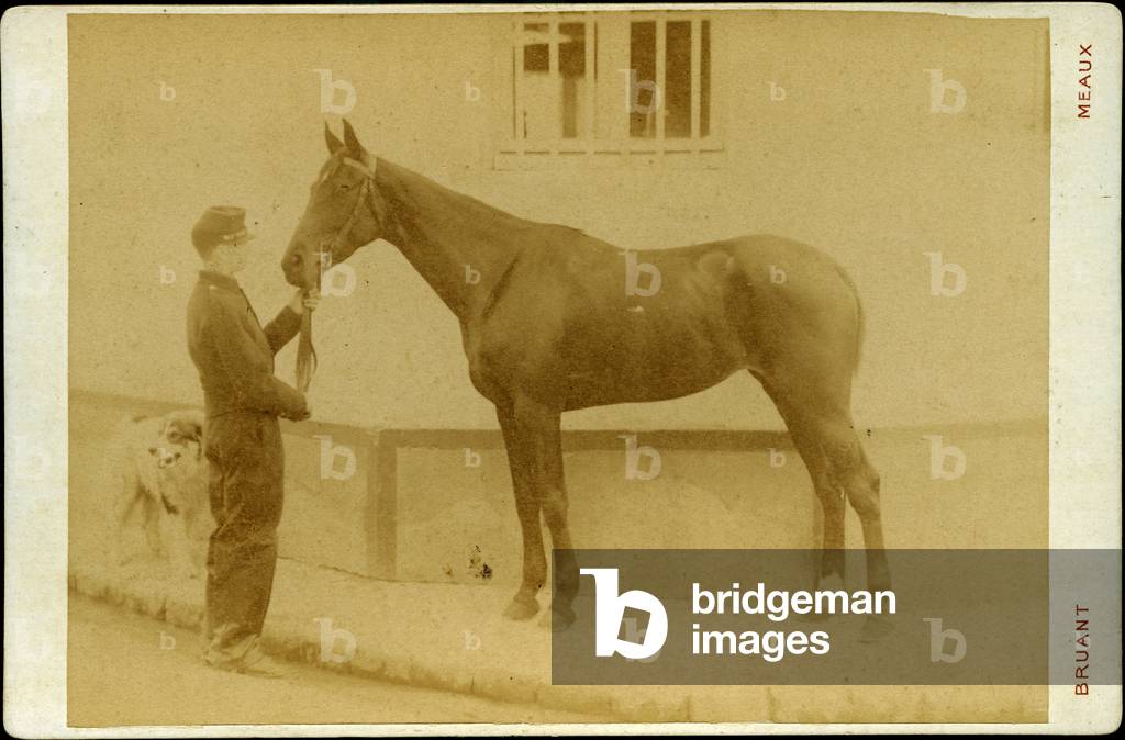 France, Ile-de-France, Seine-et-Marne (77), Meaux: A soldier and his horse, 1880