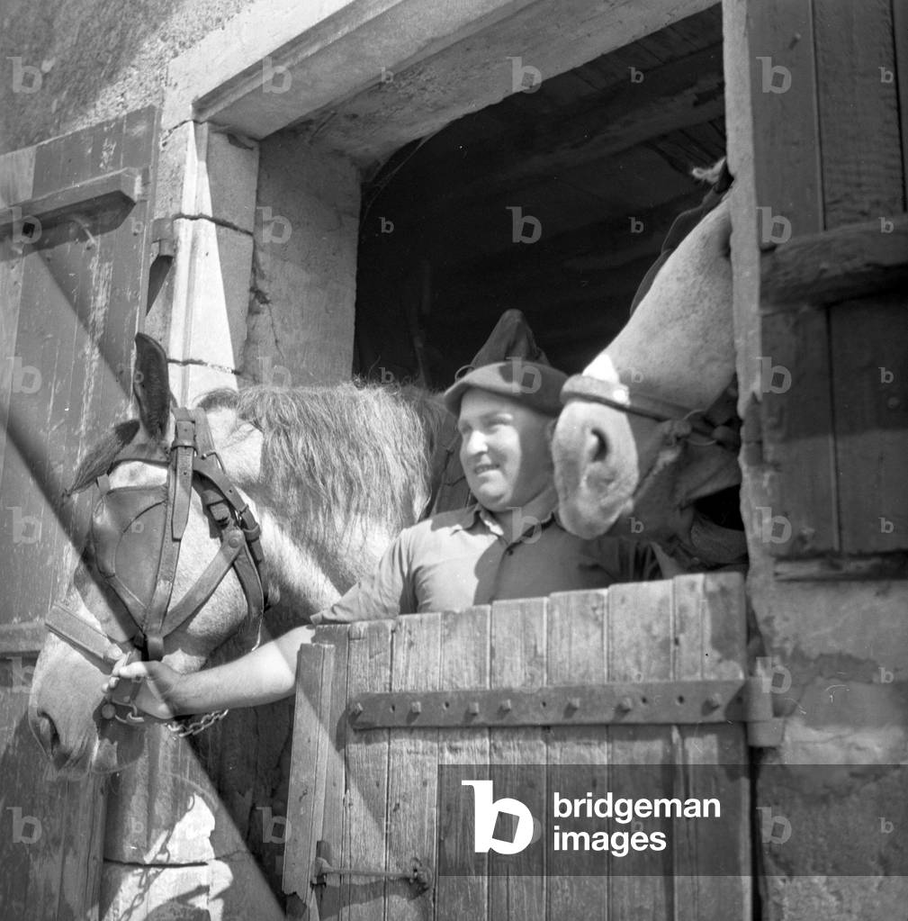 France, Centre, Indre (36): The farmer and his horses in the stable, 1951