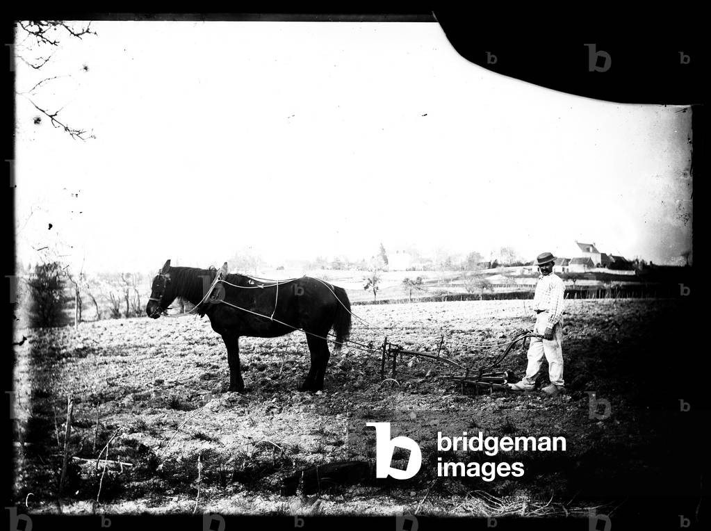 Saint-Cyr-sur-Loire, Indre and Loire (37): A peasant with his horse and a plow, 1875