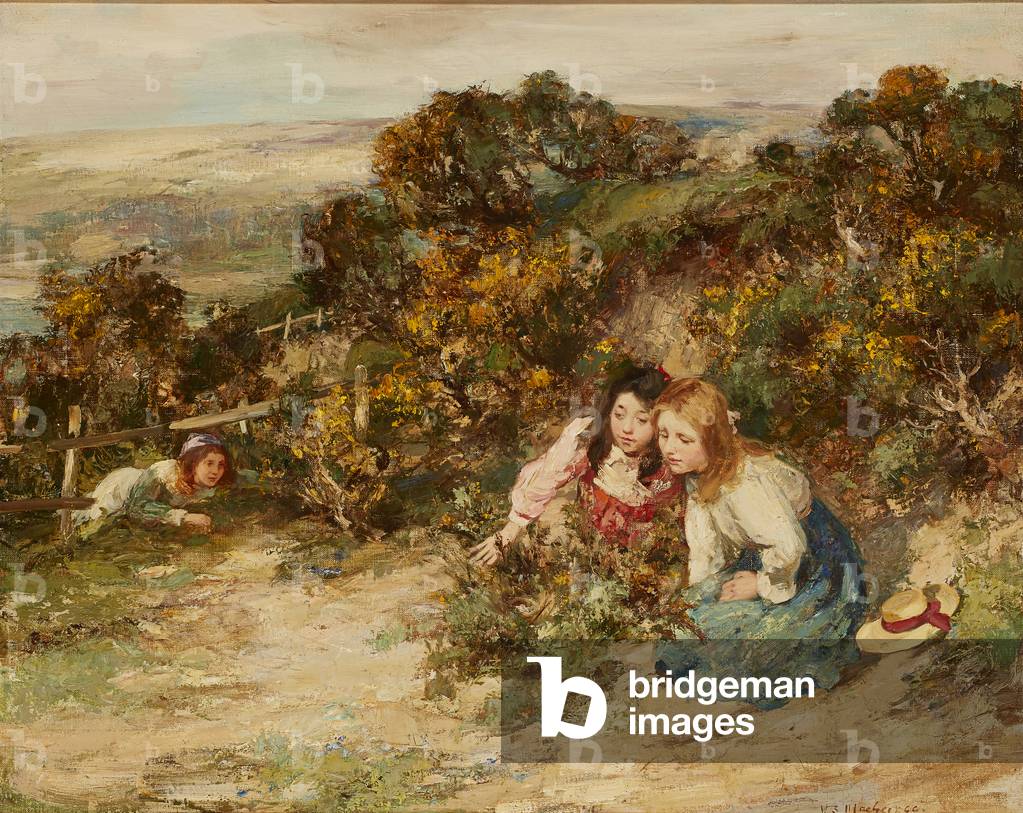 The Treasure-Hunt (oil on canvas)