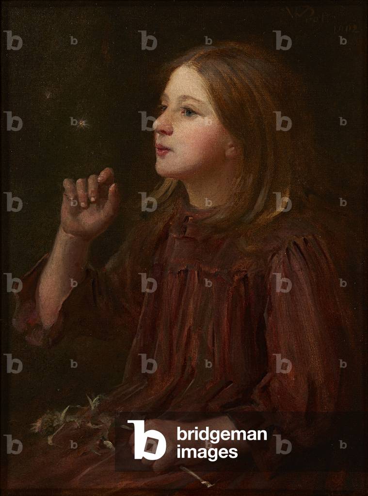 Firefly (oil on canvas)