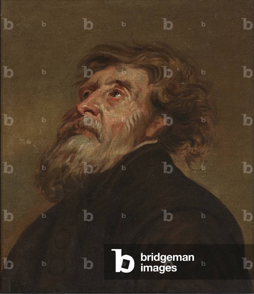Study of a Man (oil on canvas)