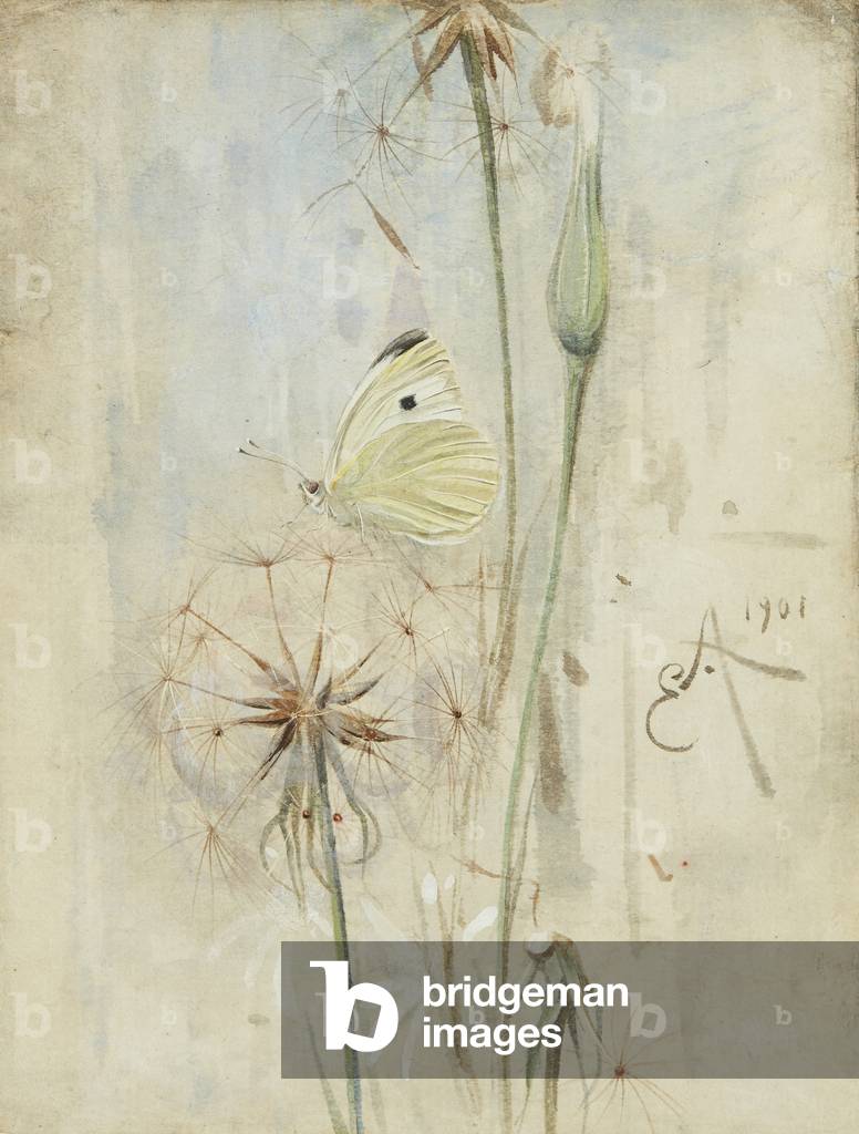 Butterfly and Thistledown (watercolour)