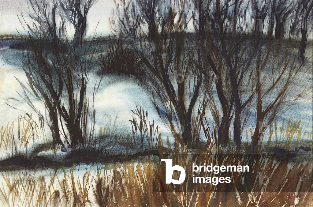 Winter Fields Behind Catterline ( watercolour)