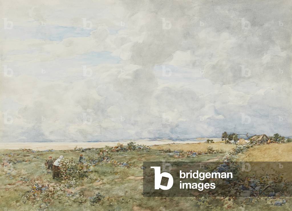 Bramble Gatherers ( watercolour)