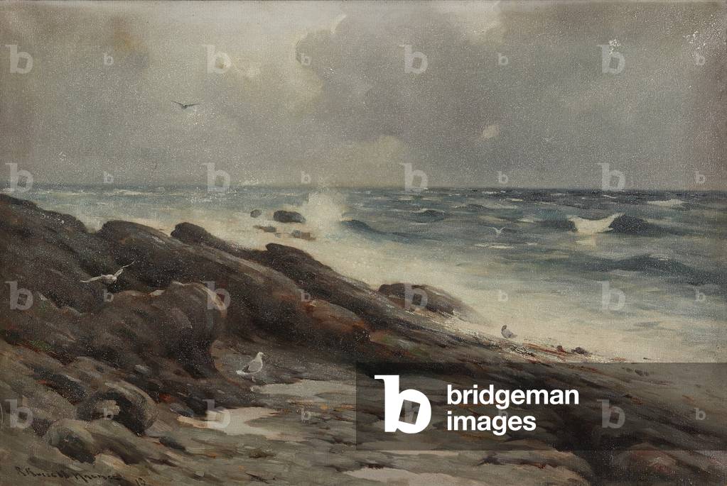 Rocky Coastline ( oil on canvas)