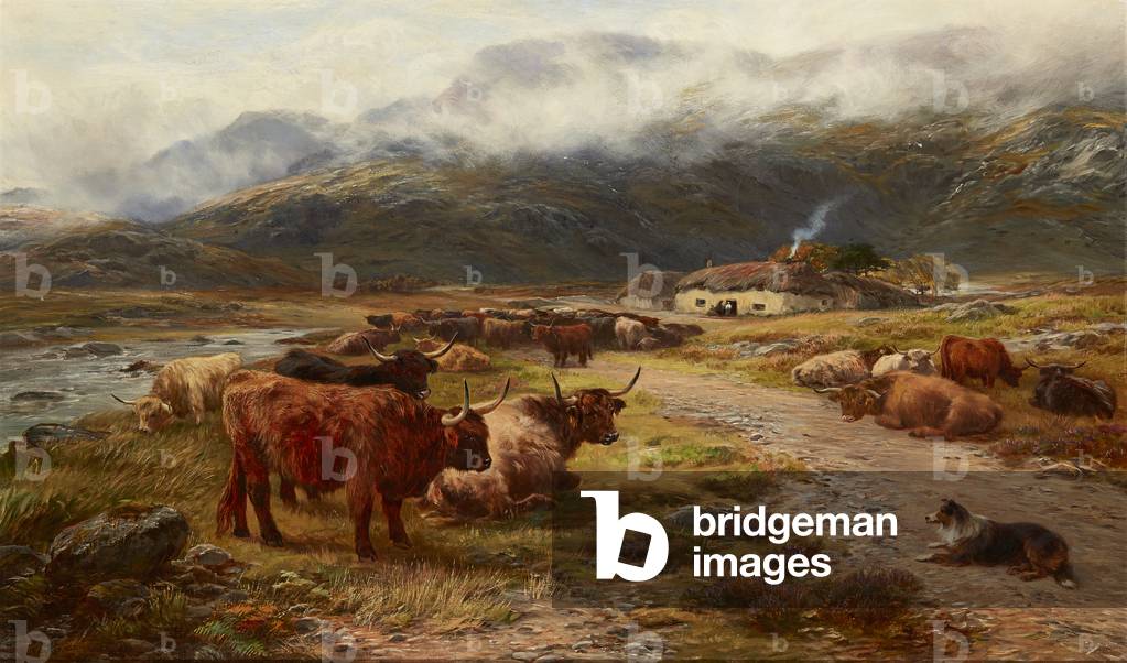 Highland Drove Resting, Argyllshire (oil on canvas)