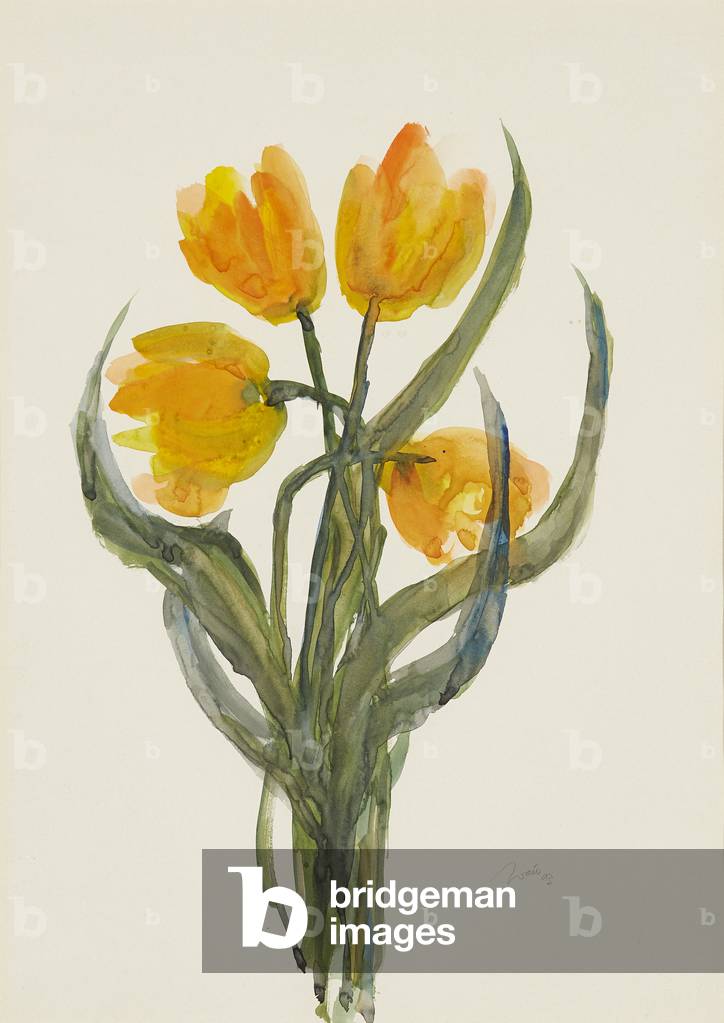 Yellow Tulips ( watercolour)