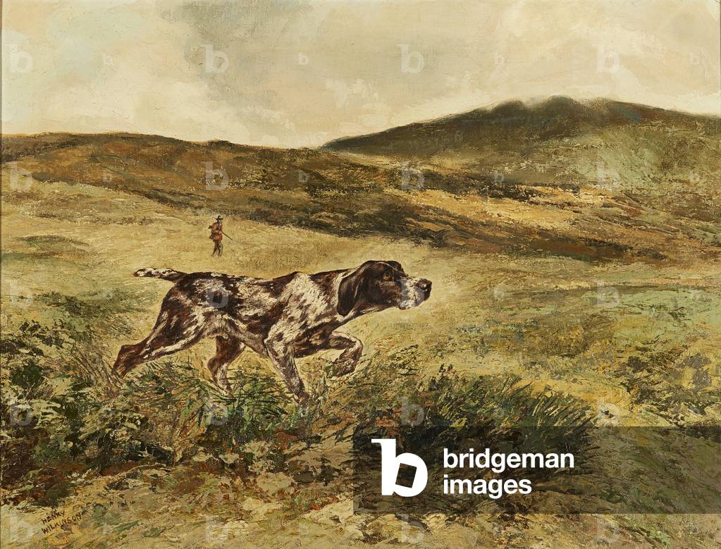 A Pointer in the Fields (oil on canvas)