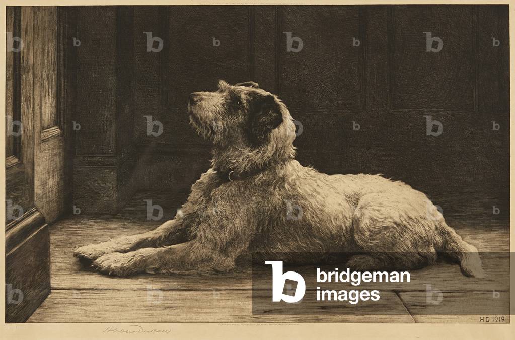 Where'S Master? (etching)