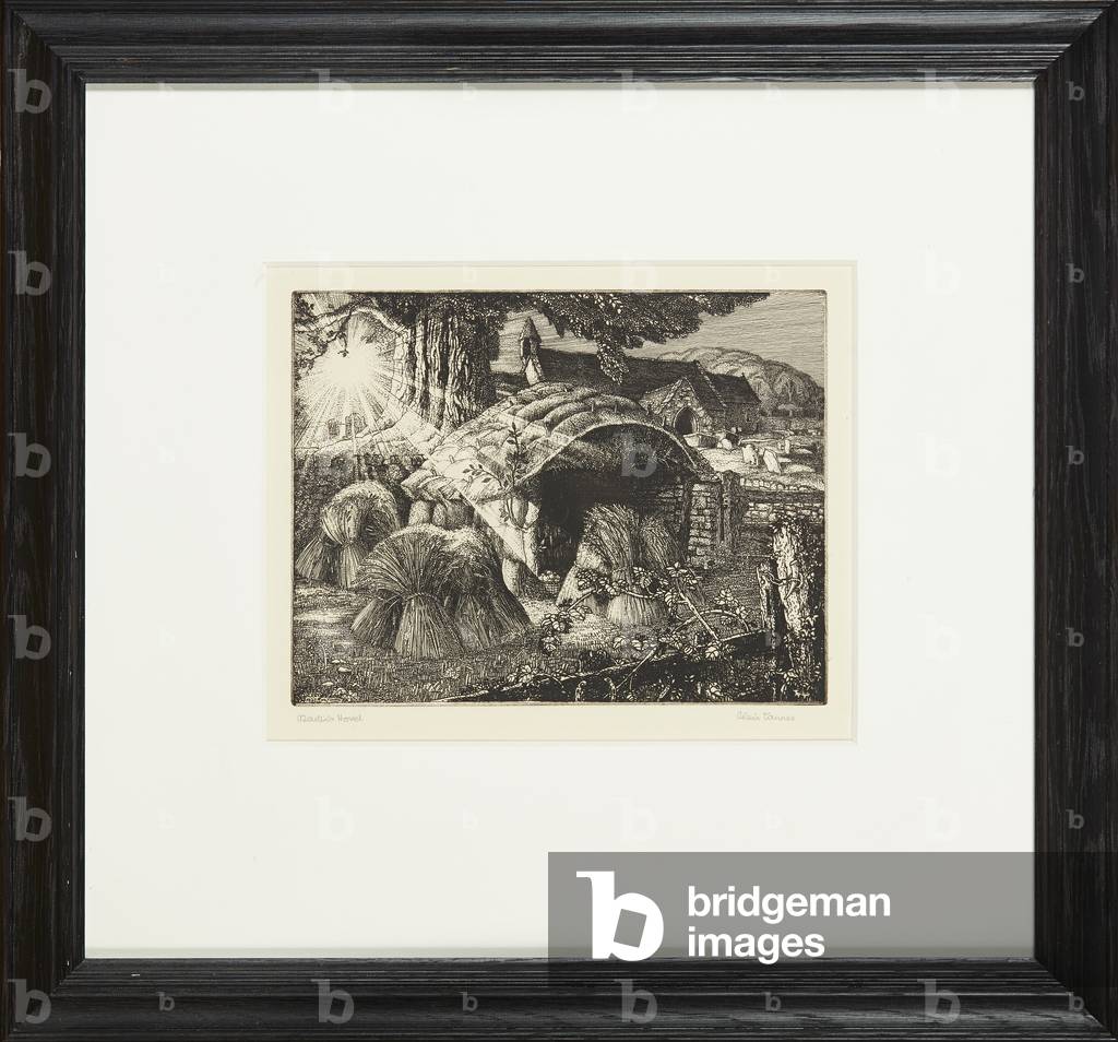 Martin'S Hovel (etching)