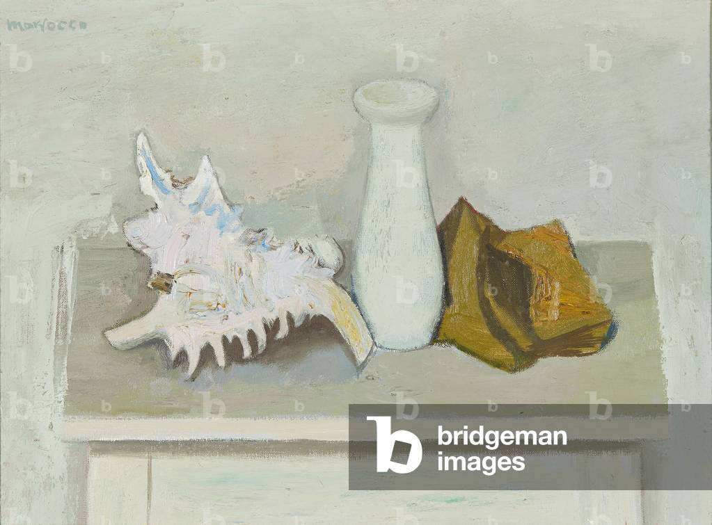 Still Life With Shell (oil on canvas)