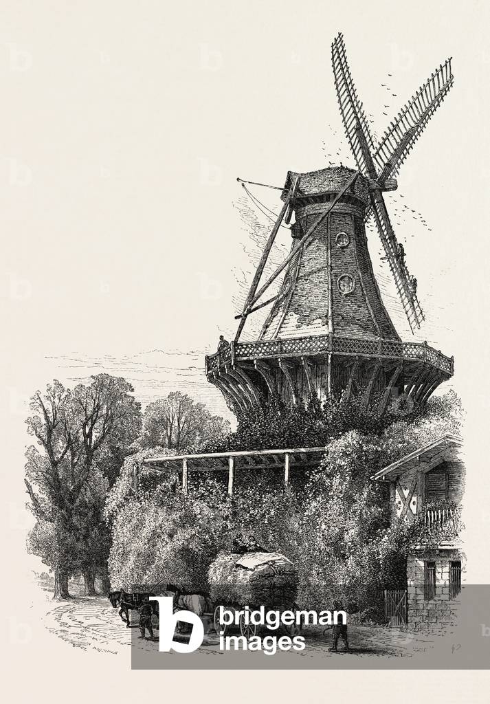 The Windmill, Potsdam, Germany, 19th Century Engraving