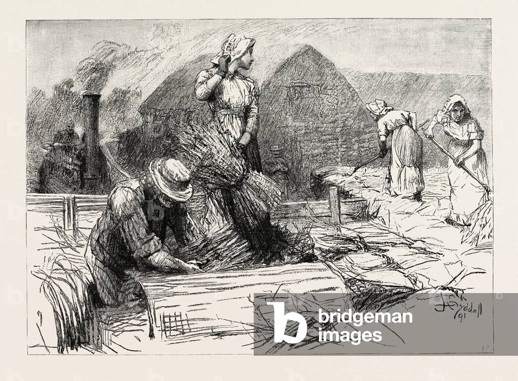 Tess of the D'Urbervilles: 