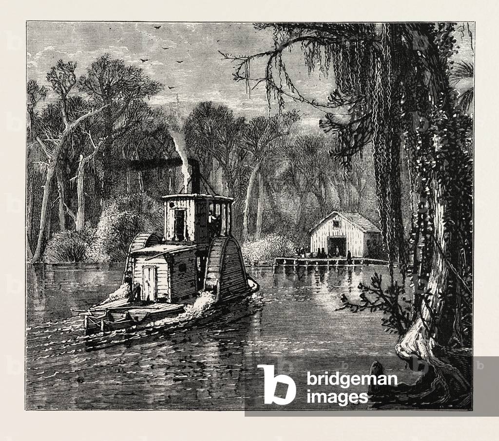 View in Florida,USA, 1870s Engraving