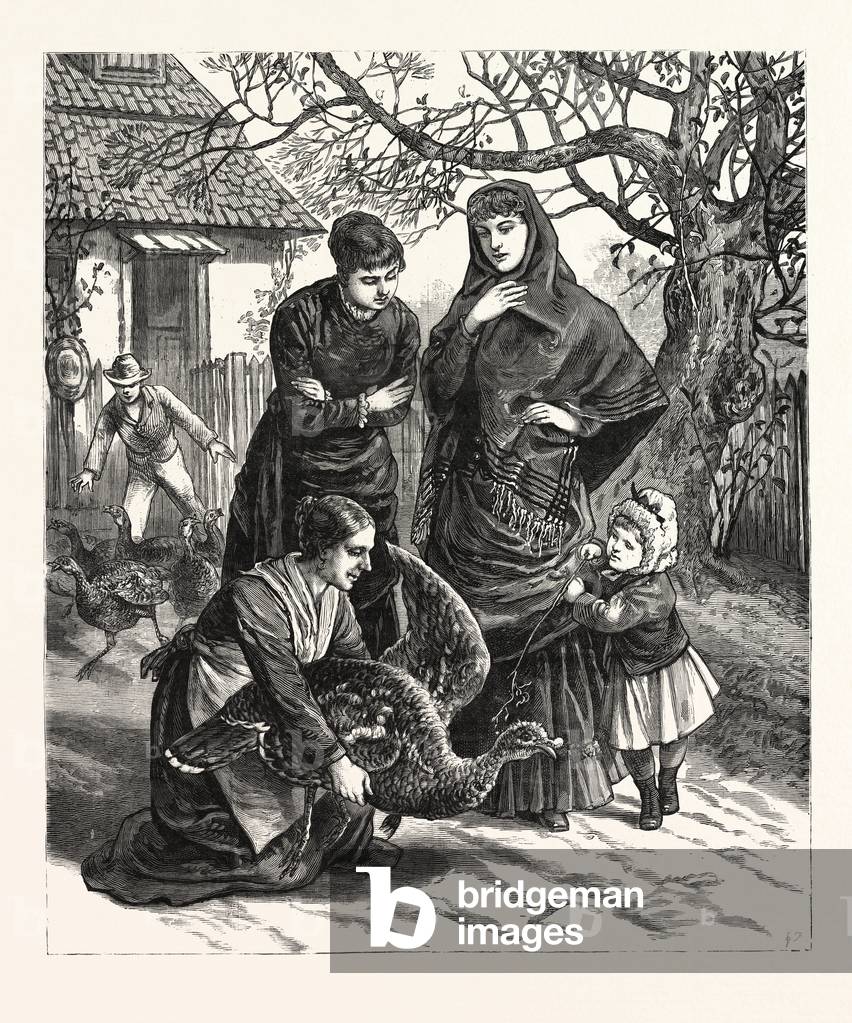 Selecting the Thanksgiving Turkey, Engraving 1880 1881