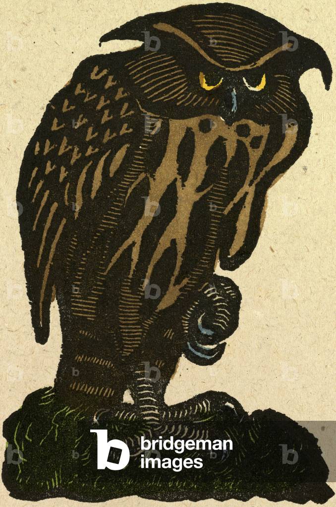 Illustration of English Tales Folk Tales and Ballads. A Grumpy Owl