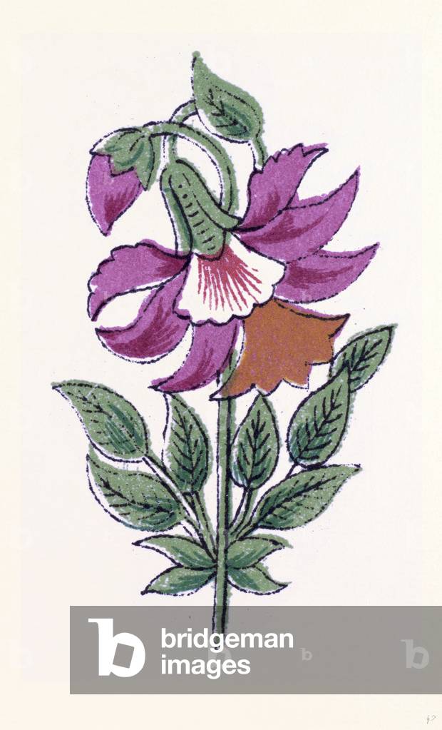 Persian Ornament