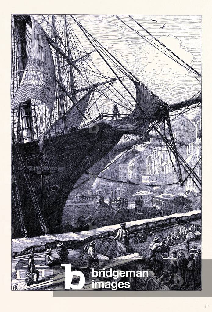 At the Wharf in New York United States of America