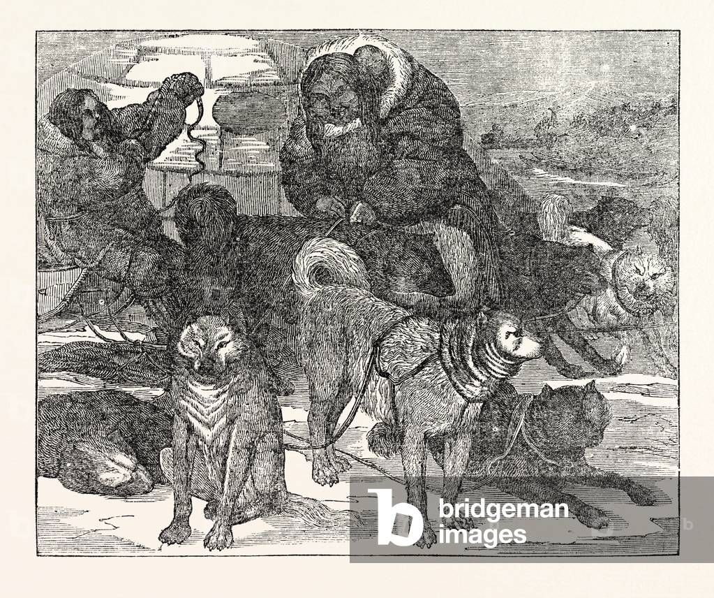 Eskimaux Harnessing Their Dogs to a Sledge