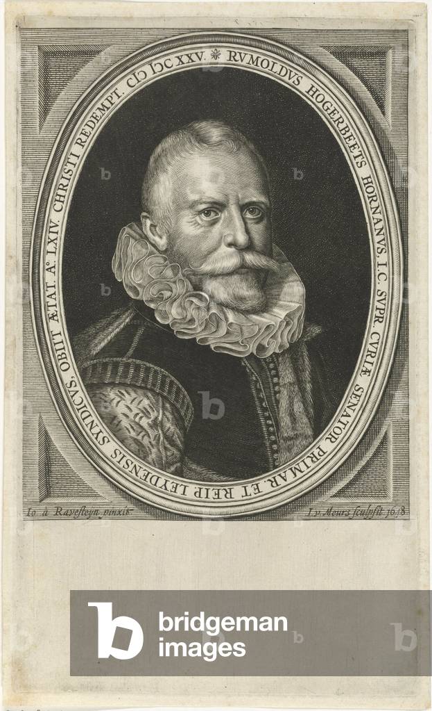 "Portrait of Rombout Hogerbeets", b/w