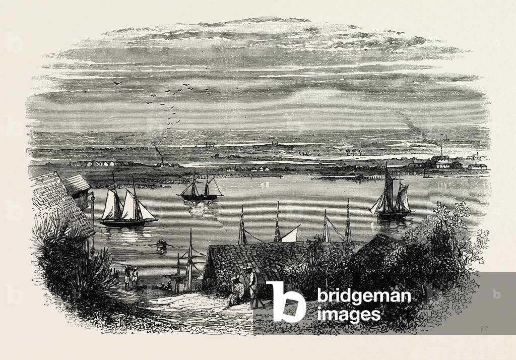 View from Savannah, Looking Over Rice-Fields,USA, 1870s Engraving