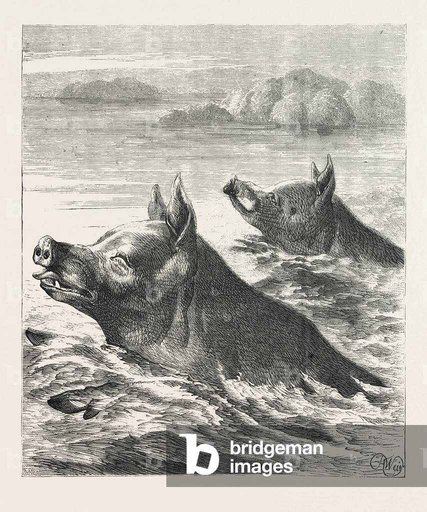 Saving Their Bacon, Escaping, Escape, Engraving 1876