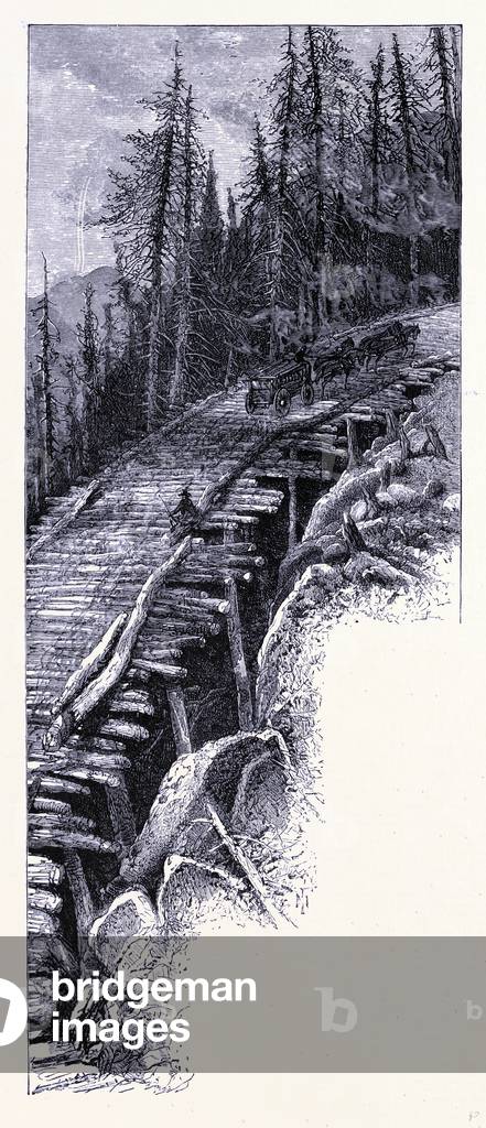 A Path on Mount Mansfield United States of America