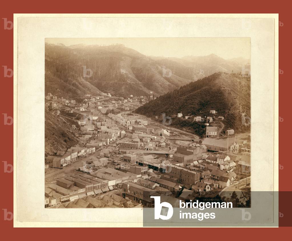 Deadwood. From Mt. Moriah