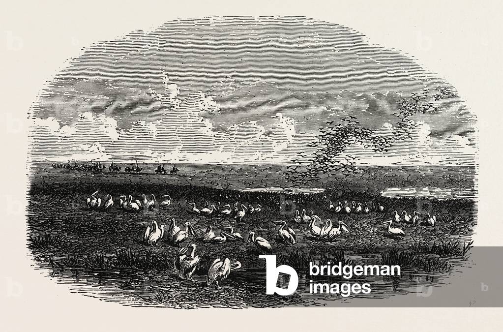 Scene on the Steppes of the Caspian