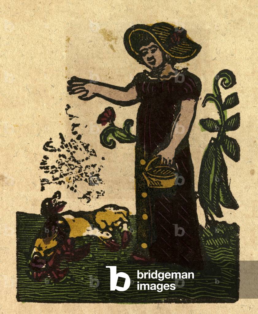 Illustration of English Tales Folk Tales and Ballads. A Woman Feeding Ducks