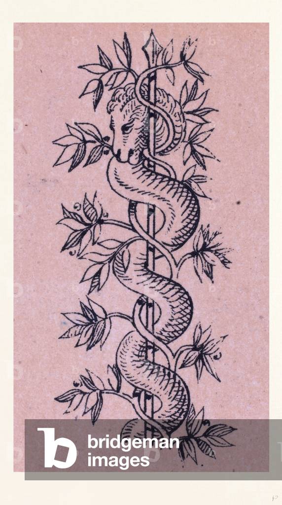 Italian Ornament