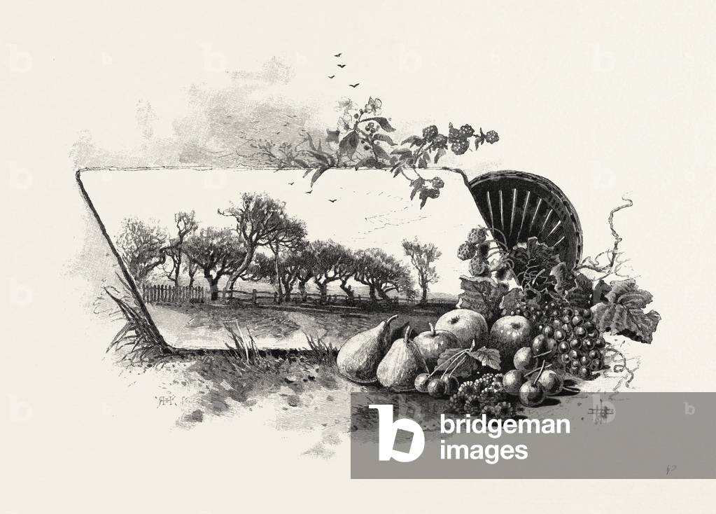 Central Ontario, Canada, Nineteenth Century Engraving